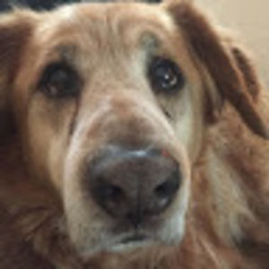 Meet your Posher, Kc